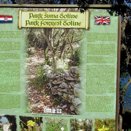 Suzy מלון פולה