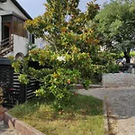 Suzy Hotel