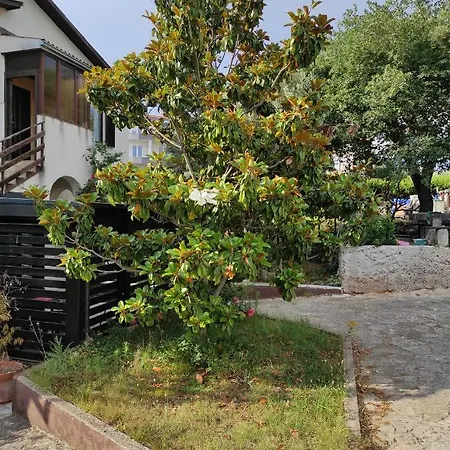 Suzy Hotel